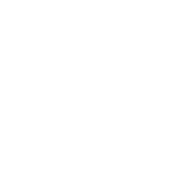Search Icon